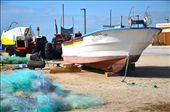 After a summer with little fish in the Portuguese coast, all fishermen in the winter time fix all your fishing equipment. In this photo we can see all the equipment that will pass through the hands of the fisherman to be repaired!
: by theworldependsea, Views[410]