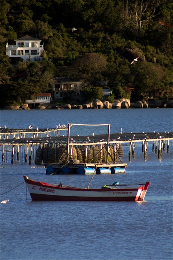 To preserve the environment and provide sustainable tourism, most restaurants in Ribeirão da Ilha cultivate their own oysters in floating units next to the shore – and some of them even get exported to all over the world. That way, food has certified quality and biodiversity is kept alive. 