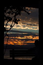 To spend a day in Ribeirão da Ilha is to amaze yourself with its history and delicacy. Its mix of cultures, flavours and colours makes it a hidden gem within Brazilian coastline. Definitely an unforgettable journey!: by theworldismyoyster, Views[256]