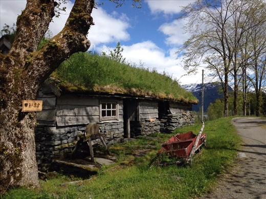 For those of you curious (dad), the grass is grown on the roof in two different layers, and in two different directions. It gets so packed that it keeps the wood from rotting underneath. 