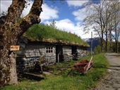 For those of you curious (dad), the grass is grown on the roof in two different layers, and in two different directions. It gets so packed that it keeps the wood from rotting underneath. : by theycallmekenz, Views[188]