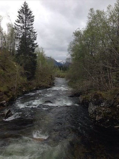 This picture will just not rotate...