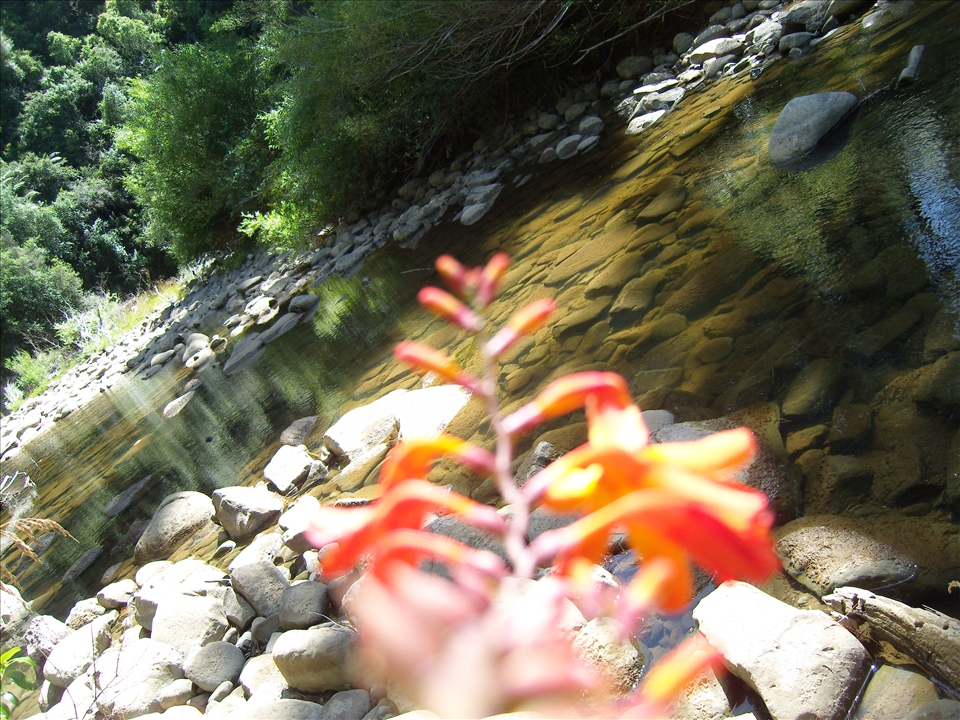 Samsung NV20 camera
F/2.8, 1/250 sec, iso-80, 7mm focal length