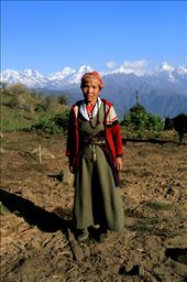 The life of a nomad: Tibetan refugee Lhakpa lives a simple life, eating only rice and onion soup while raising her precious cows alone in the shadows of the Himalayas. : by thisiscoop, Views[368]