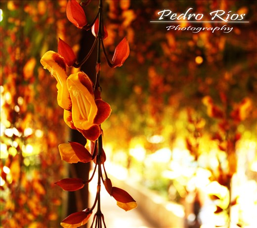 A small little thing