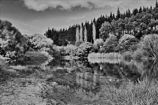 Walkworths historic quarry lake mirrors the surrounding Vegetation.