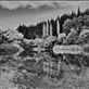 Walkworths historic quarry lake mirrors the surrounding Vegetation.: by thomasduncan, Views[263]