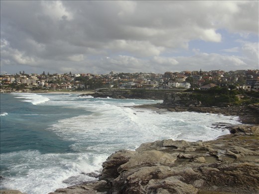 Cliff walk: Bondi-Coogee