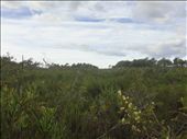 Sydney Harbour NP: by thomasz, Views[322]