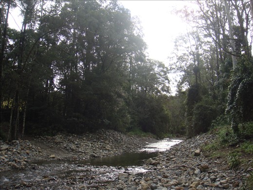 Orara river, floods from time to time.