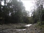 Orara river, floods from time to time.: by thomasz, Views[458]