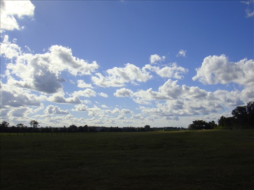 A beautiful winter's day.