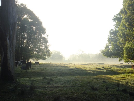 Morning at the campsite