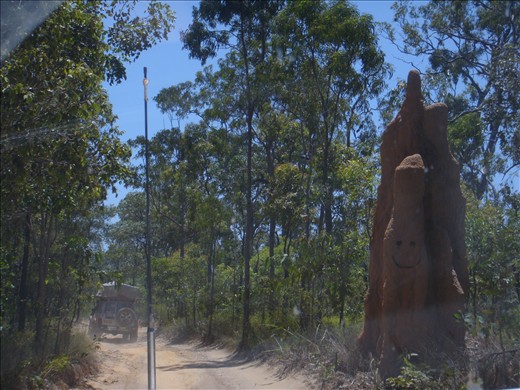 :-) termite hill