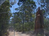 :-) termite hill: by thomasz, Views[343]