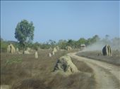 Surreal amount of termite hills: by thomasz, Views[362]