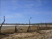 Salt pan @ Lakefield NP: by thomasz, Views[358]