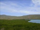 Mangrove forest: by thomasz, Views[366]