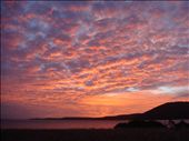 Sunrise @ Flinders Isl.: by thomasz, Views[515]