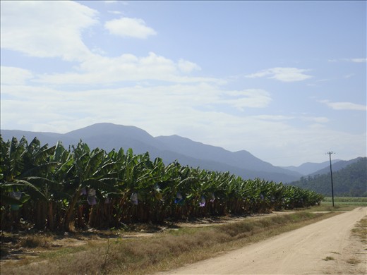 Somewhere on the farm