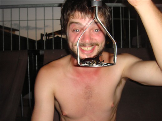 Rhino beetle on my masher!