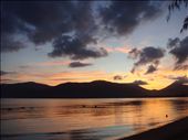 Pelicans at dawn, Cairns.: by thomasz, Views[441]