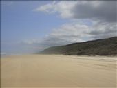 75 Mile Beach, FI: by thomasz, Views[385]