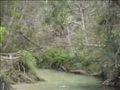 Eli Creek, FI: by thomasz, Views[273]