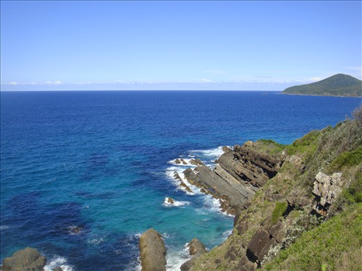 Forster headland