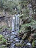 Hopetoun Falls at Great Otway NP: by thomasz, Views[334]