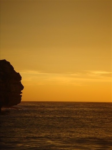 I named him Edgar, Martyrs Bay, GOR