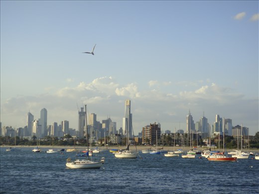 CBD from St-Kilda Pier