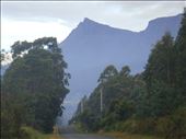 Nells bluff, Great Western Tiers: by thomasz, Views[392]