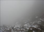 Boulder field on Cradle Mt.: by thomasz, Views[268]