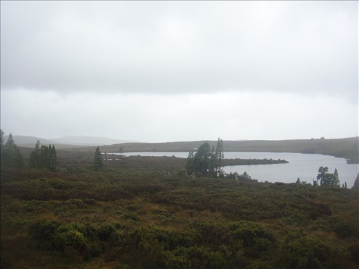 Almost the Scottish moors