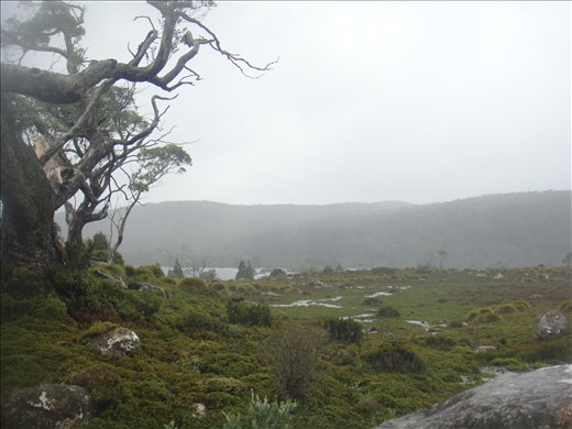The banks of Lake Windermere