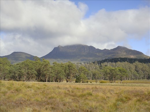 Mt. Ossa (Tassie's highest peak at 1617m) in the middle