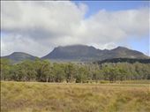 Mt. Ossa (Tassie's highest peak at 1617m) in the middle: by thomasz, Views[205]