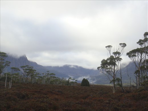 Looking towards Cathedral Mt. (left) & Du Cane Range (right)