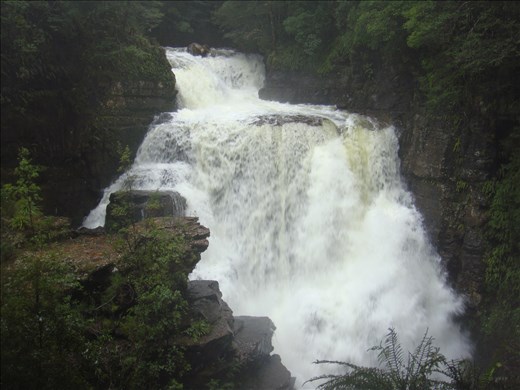 D'Alton Falls