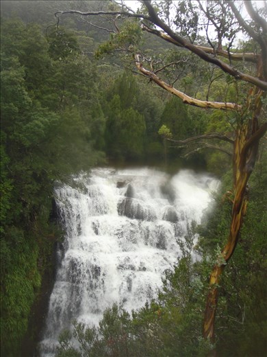 Top of Hartnett Falls