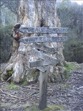 Signpost near Narcissus hut: by thomasz, Views[264]