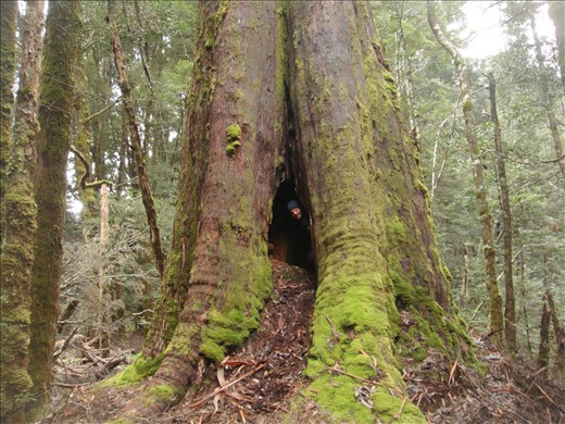 Found me a place to sleep!