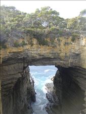 Tasman Arch, Tasman Peninsula: by thomasz, Views[292]
