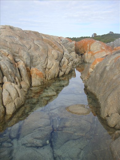Oysters to be found, Humbug Point
