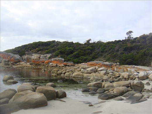 Perfect for seals, Humbug Point