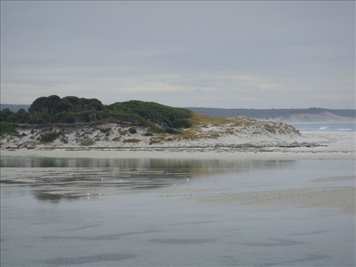 Dune @ Policeman's Point