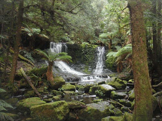 Horseshoe falls, Mt. Field NP