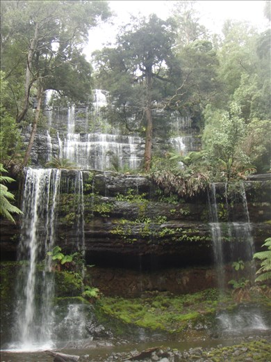Russell falls, Mt. Field NP