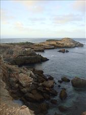 Carpenter Rocks, South Australia: by thomasz, Views[292]